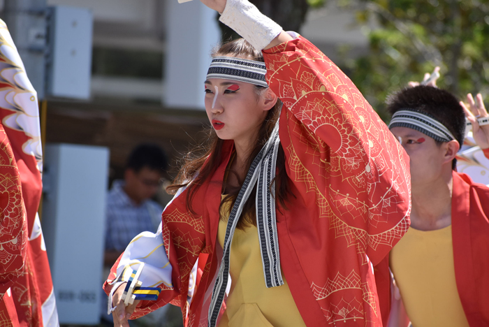 よさこい衣装・祭り衣装　　筑前かすや一番隊様 