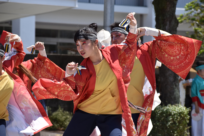 よさこい衣装・祭り衣装　　筑前かすや一番隊様 