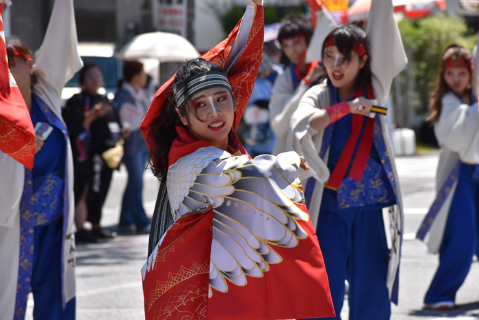 よさこい衣装・祭り衣装　　筑前かすや一番隊様 