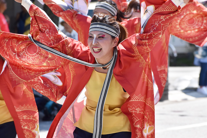 よさこい衣装・祭り衣装　　筑前かすや一番隊様 