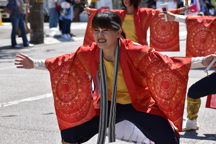 よさこい衣装・祭り衣装　　筑前かすや一番隊様 