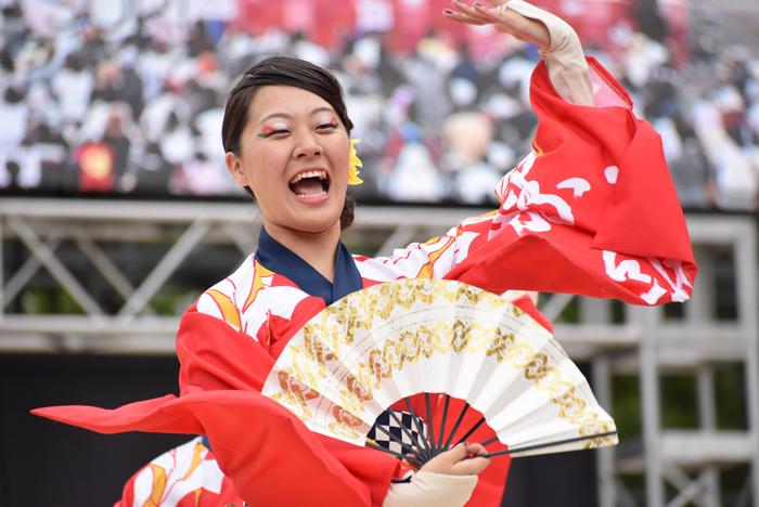 よさこい衣装・祭り衣装　　勝山組様 