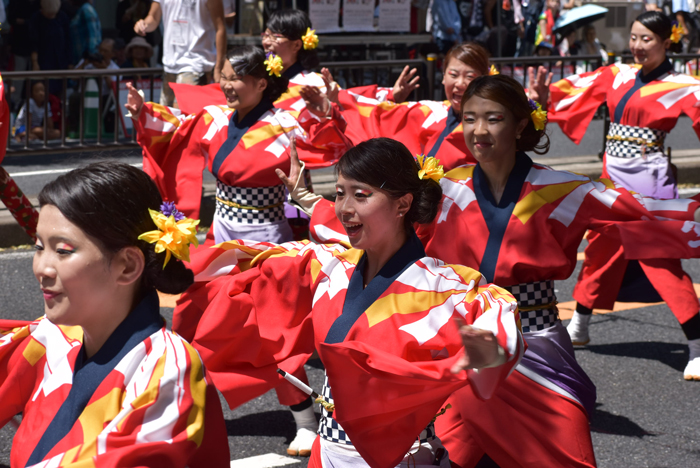 よさこい衣装・祭り衣装　　勝山組様 