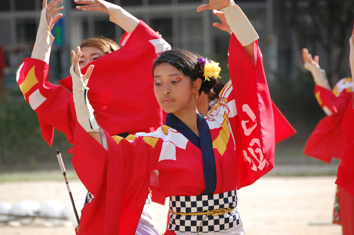 よさこい衣装・祭り衣装　　勝山組様 