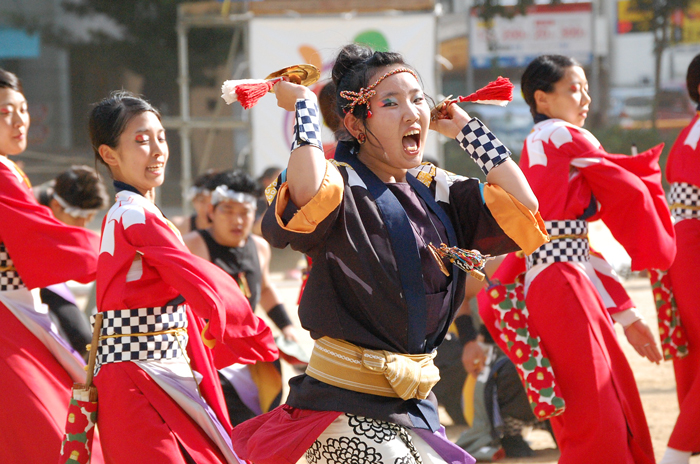 よさこい衣装・祭り衣装　　勝山組様 