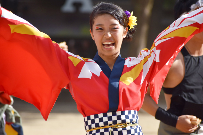 よさこい衣装・祭り衣装　　勝山組様 