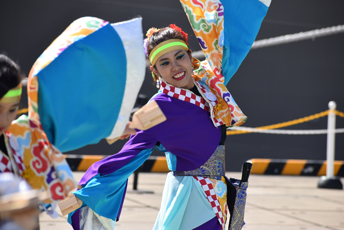 よさこい衣装・祭り衣装　　菊川よさこい連合様 