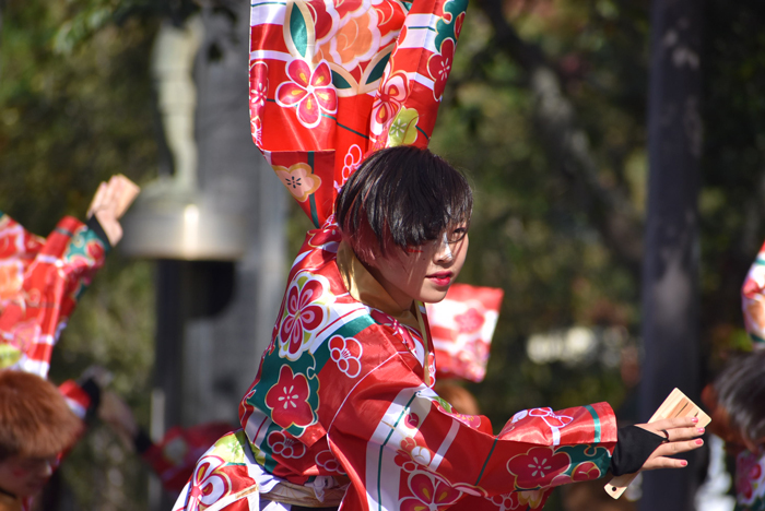 よさこい衣装・祭り衣装　　梅光学院大学よさこいダンス部LUCIS様 