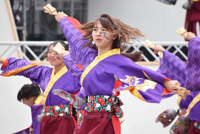 よさこい衣装・祭り衣装　　皇學館大学 ”雅”様 