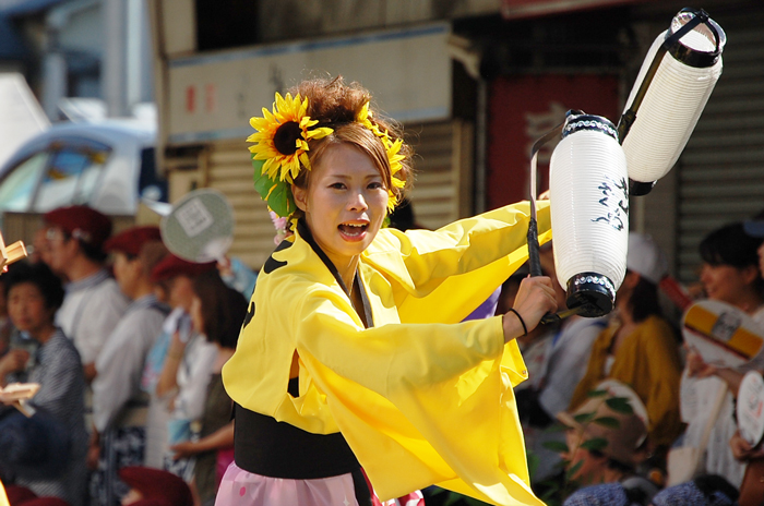 よさこい衣装・祭り衣装　　本山さくら様 