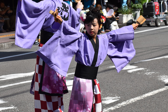 よさこい衣装・祭り衣装　　本山さくら様 