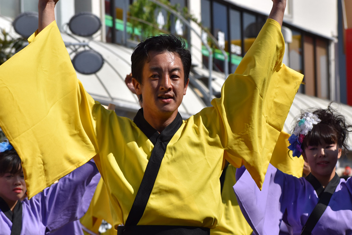 よさこい衣装・祭り衣装　　本山さくら様 