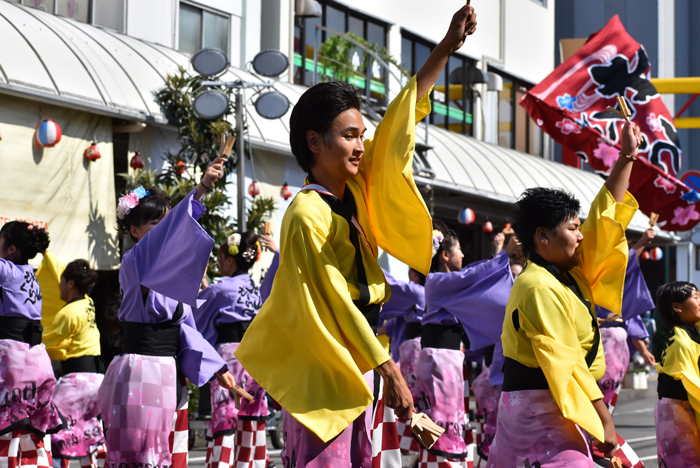 よさこい衣装・祭り衣装　　本山さくら様 