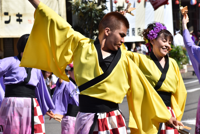 よさこい衣装・祭り衣装　　本山さくら様 