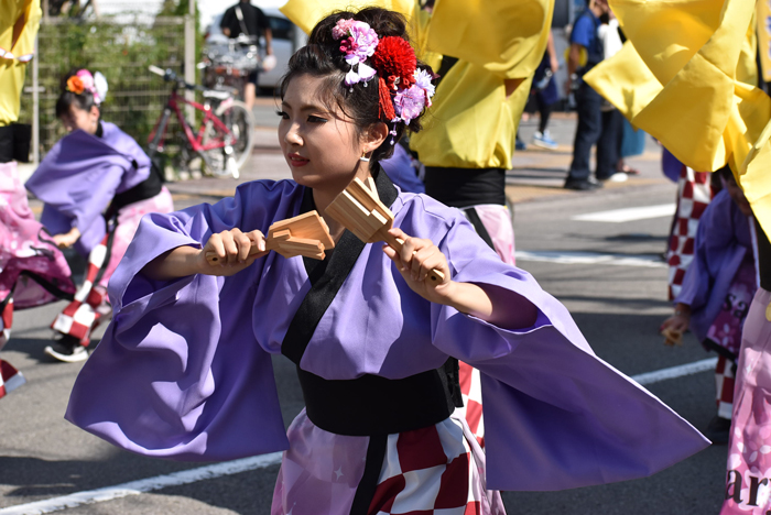 よさこい衣装・祭り衣装　　本山さくら様 