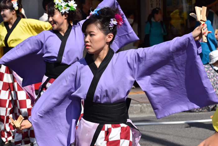 よさこい衣装・祭り衣装　　本山さくら様 