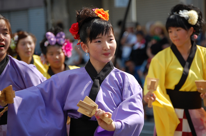 よさこい衣装・祭り衣装　　本山さくら様 