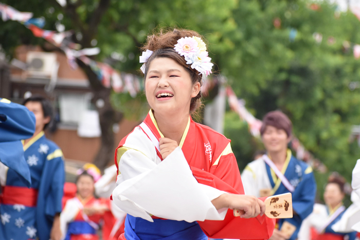 よさこい衣装・祭り衣装　　学生団体コンパスよさこいチーム叢雲様 