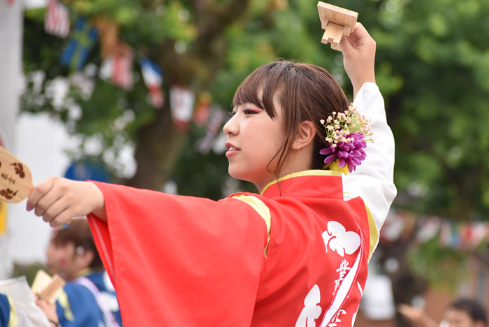 よさこい衣装・祭り衣装　　学生団体コンパスよさこいチーム叢雲様 