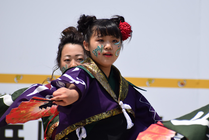 よさこい衣装・祭り衣装　　謳歌様 