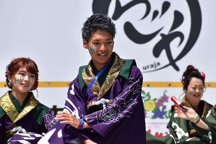 よさこい衣装・祭り衣装　　謳歌様 