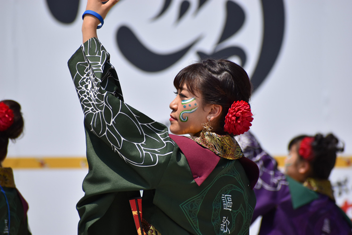 よさこい衣装・祭り衣装　　謳歌様 