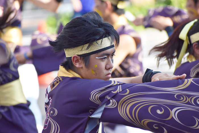 よさこい衣装・祭り衣装　　乱舞華風様 