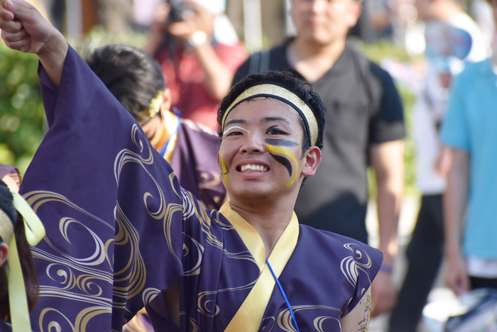 よさこい衣装・祭り衣装　　乱舞華風様 