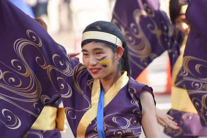 よさこい衣装・祭り衣装　　乱舞華風様 