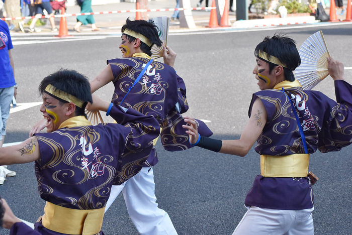 よさこい衣装・祭り衣装　　乱舞華風様 