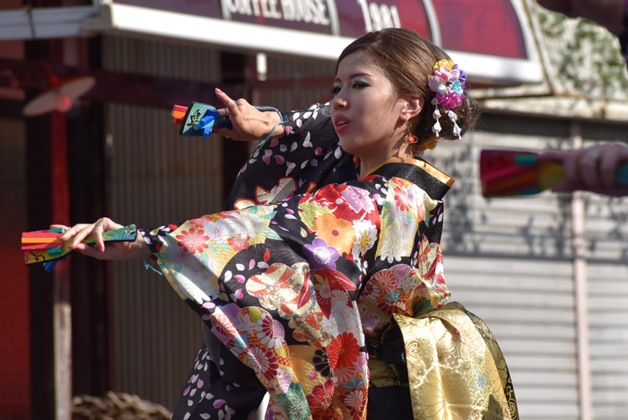 よさこい衣装・祭り衣装　　輪舞様 