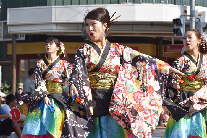 よさこい衣装・祭り衣装　　輪舞様 