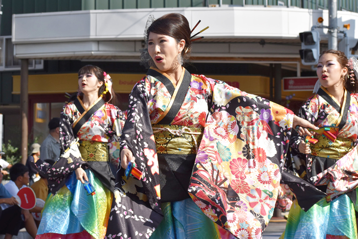 よさこい衣装・祭り衣装　　輪舞様 