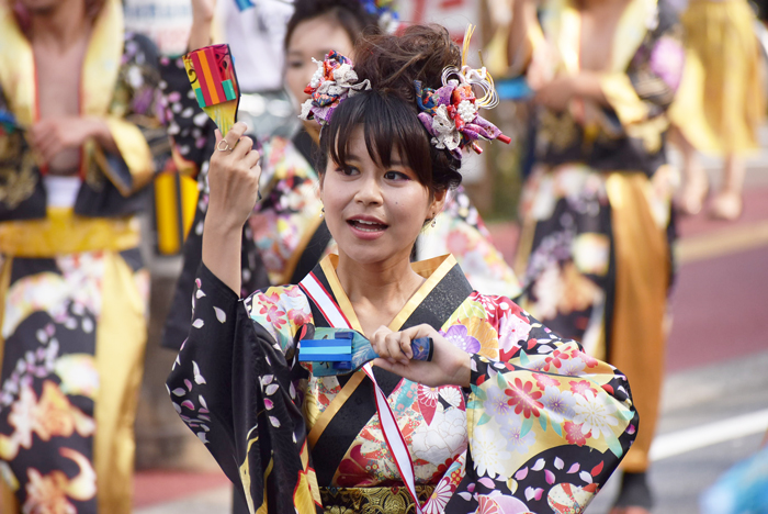 よさこい衣装・祭り衣装　　輪舞様 