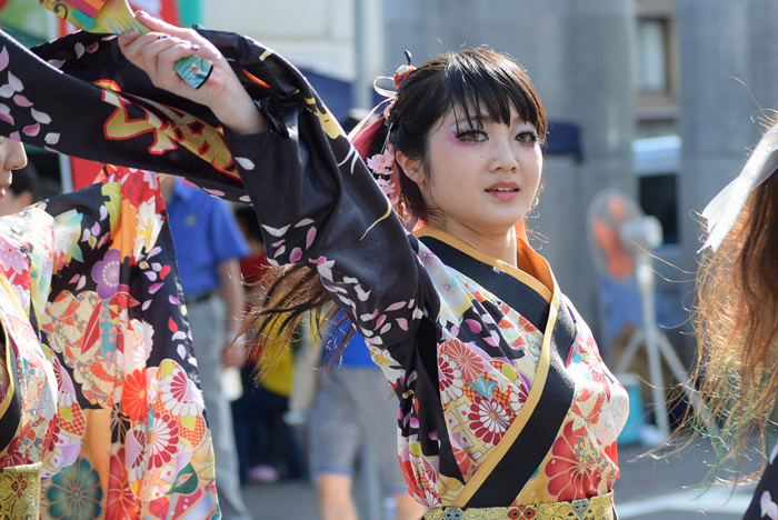 よさこい衣装・祭り衣装　　輪舞様 