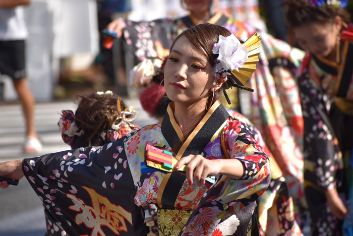 よさこい衣装・祭り衣装　　輪舞様 