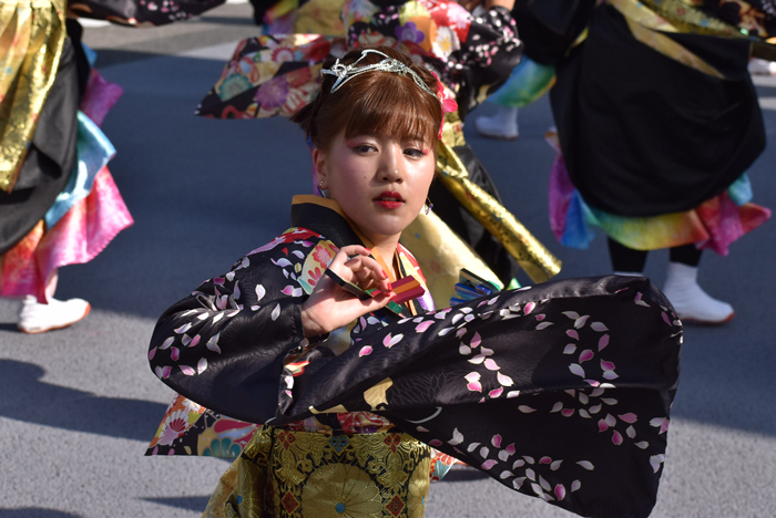 よさこい衣装・祭り衣装　　輪舞様 