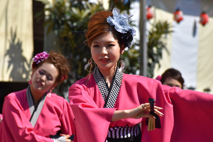 よさこい衣装・祭り衣装　　Rouce様 