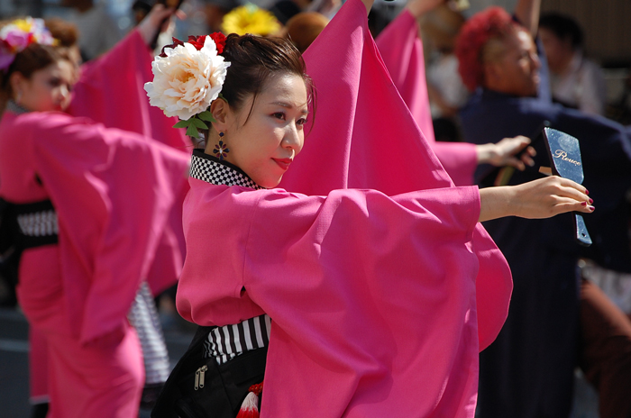 よさこい衣装・祭り衣装　　Rouce様 