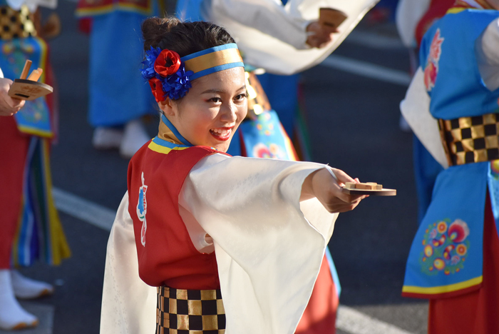 よさこい衣装・祭り衣装　　桜舞ポーランド国際チーム様 