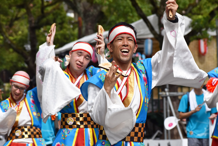 よさこい衣装・祭り衣装　　桜舞ポーランド国際チーム様 