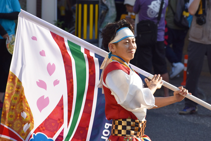 よさこい衣装・祭り衣装　　桜舞ポーランド国際チーム様 