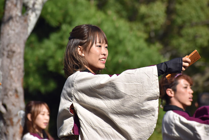 よさこい衣装・祭り衣装　　下関市立大学よさこいダンスサークル震様 