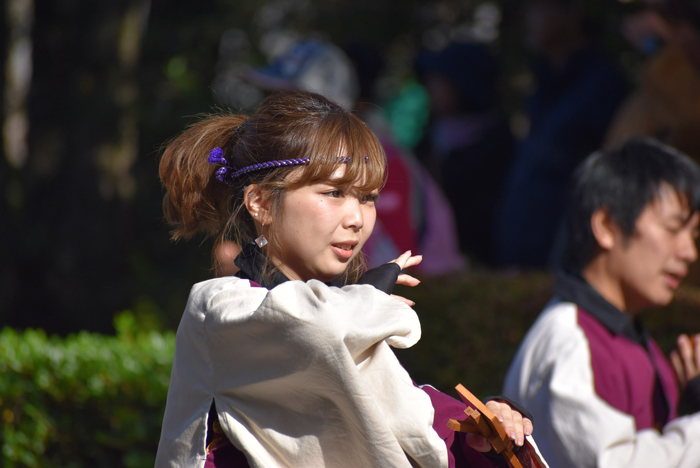 よさこい衣装・祭り衣装　　下関市立大学よさこいダンスサークル震様 