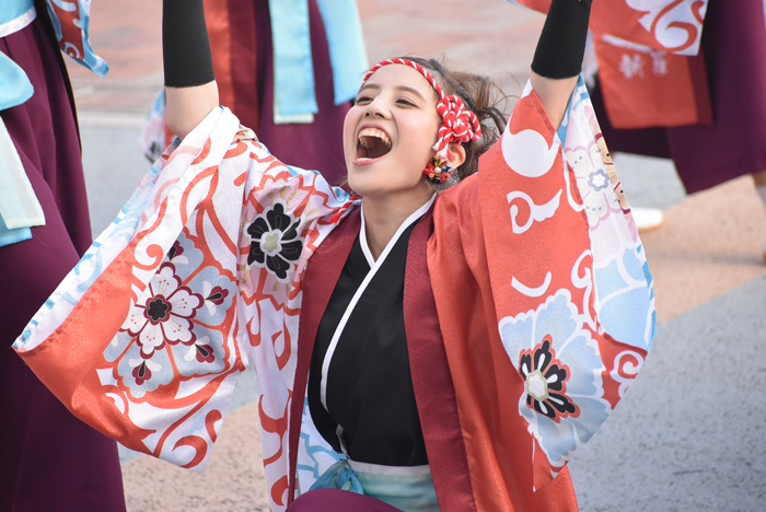 よさこい衣装・祭り衣装　　新羅様 