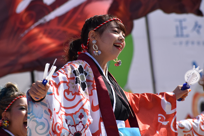 よさこい衣装・祭り衣装　　新羅様 