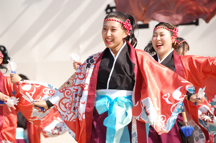 よさこい衣装・祭り衣装　　新羅様 