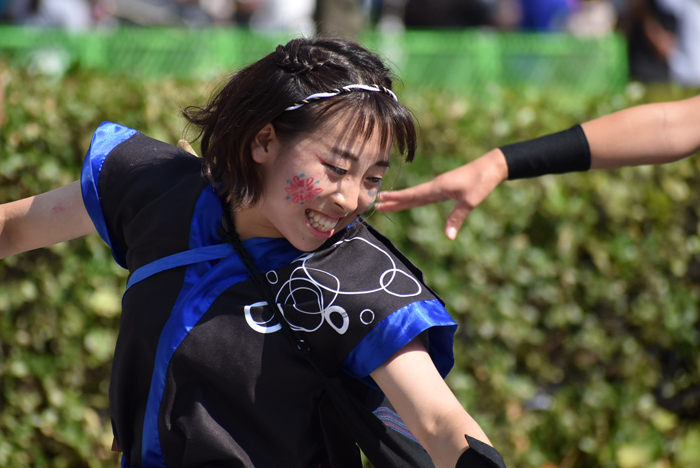 よさこい衣装・祭り衣装　　晴屋様 