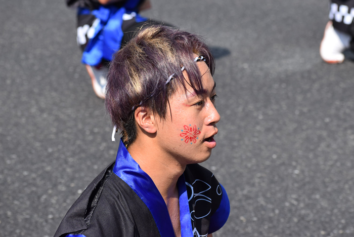 よさこい衣装・祭り衣装　　晴屋様 