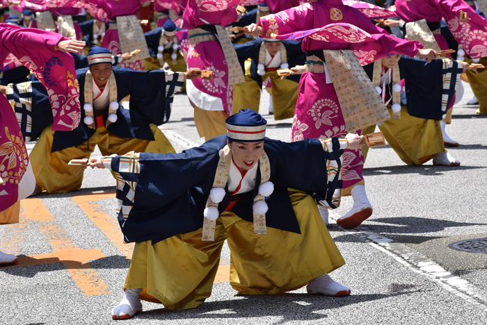 よさこい衣装・祭り衣装　　TACYON様 